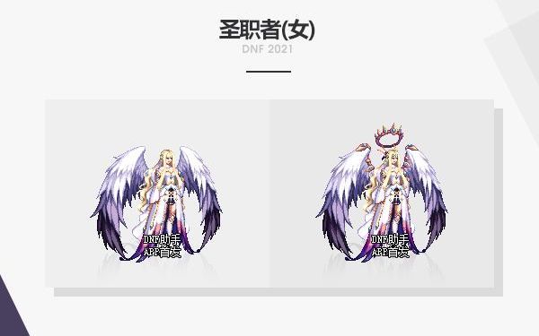 新龙袍感觉就女圣职可以看得过去,沃特碧们的colg,dnf地下城与勇士