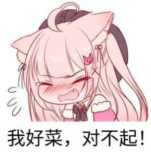 那就是别人太强我太菜