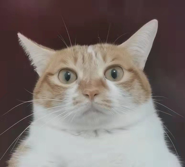 c站还算好的,b站级dnf的评论区更是离谱至极