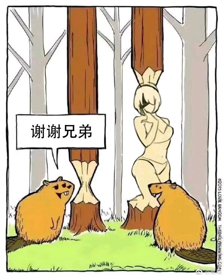 看了新版本想回坑，上线不知道干啥1