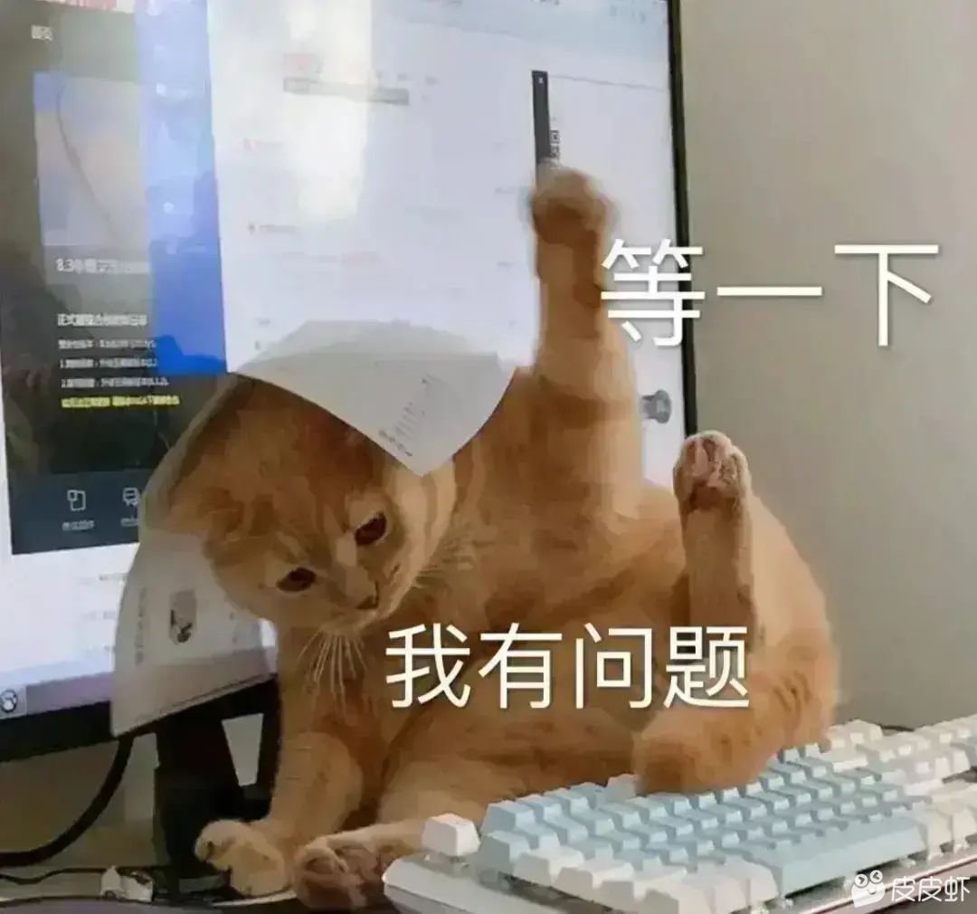请教一下各位大神1