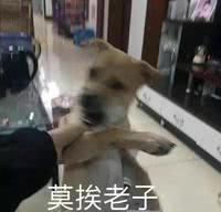 韩体开机了吗？男气功玩家浑身蚂蚁在爬1