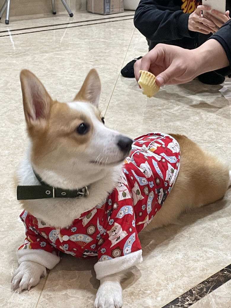 新年快到了，新年新衣服1
