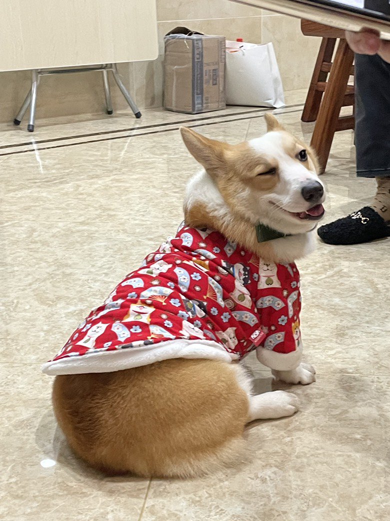 新年快到了，新年新衣服2
