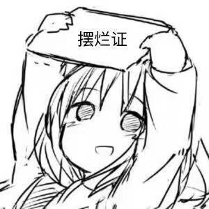 虽然好多打偏爱碟的14
