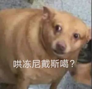 6-5-4-3,3-4-5-6…？设计这个增幅概率的人是猪吗1
