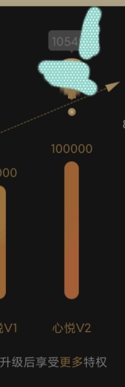 正常的玩家，为热爱付出一点资金1