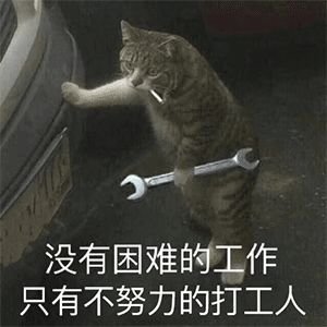 跨二肥龙有组织吗？我要加入组织1