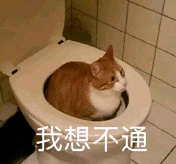 大佬们，红13武器的刃影是选择转其他职业还是继续刃影？1
