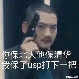 关于110版本要不要自己练一个奶妈1
