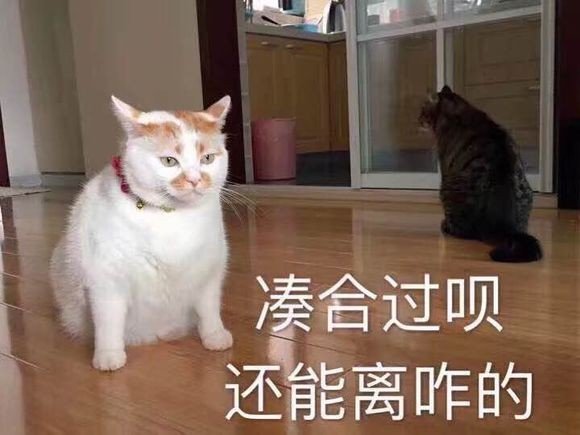 平民死灵，毕业躺平，skr5