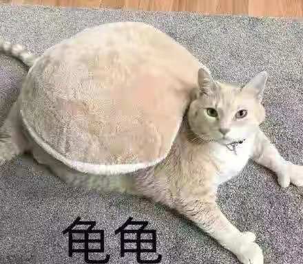 连续强化14次终于上12啦！3