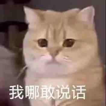阴谋论一波（关于昨晚dnf三巨头开团事件）1