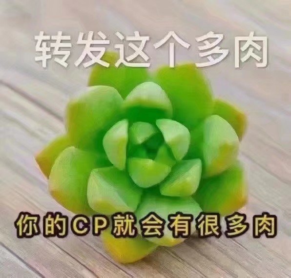 转发这个多肉，你的CP就会有很多肉!乌拉乌拉!10
