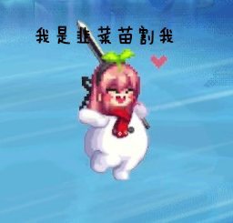 五一套消息啥时候出来啊1