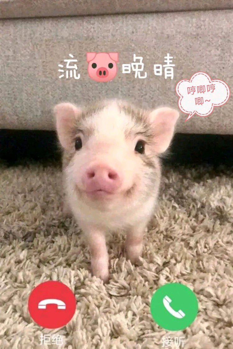 奥芝麻和希洛克装备需要准备几套？在110版本的肥料，谢谢大佬解答1