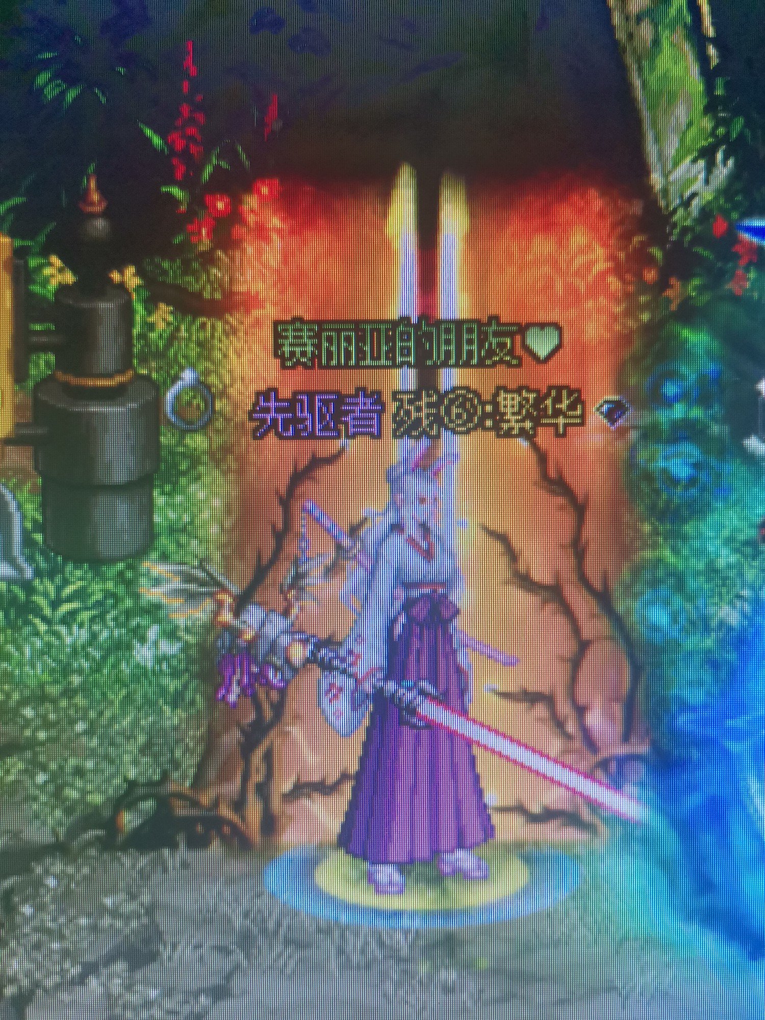 有多少人认得出这宠物1