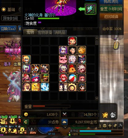 关于宠物魔法石2