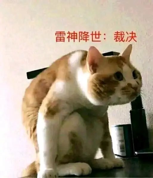 关于韧性1