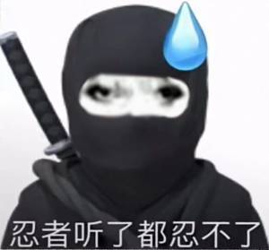 忍者听了都忍不了2