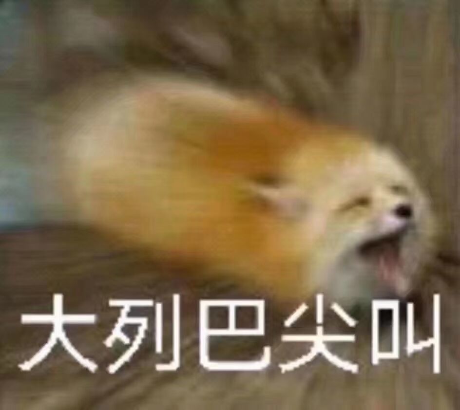 刷图点换寂静城勇士合适还是贵族机要勇士合适？1