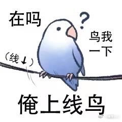 所以说今天拿12黑铁蹭增幅12是不是最好的机会1