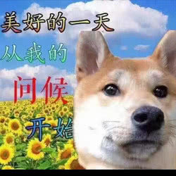 现在入手三攻玉如何1