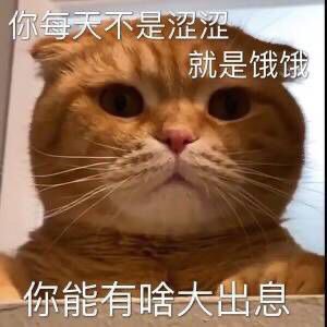 勇士们，这两天有人抽到14吗2