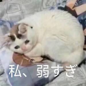 我又来打桩了3