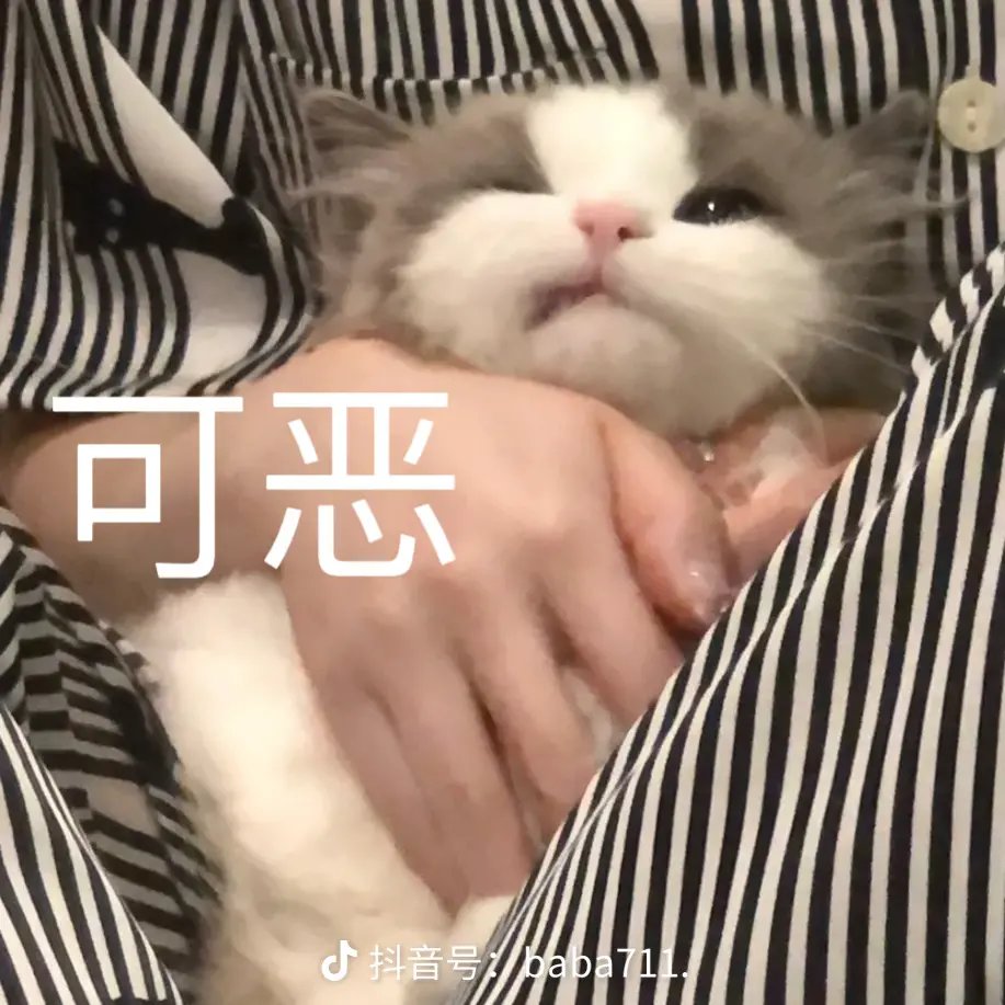 寂静城，贵族机要打一半掉线了怎么办？1