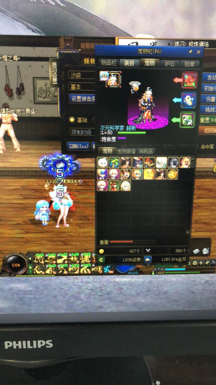 宠物右槽不触发光谱1