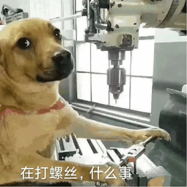 给大家整个活 cd停不下来 他还在扔技能4