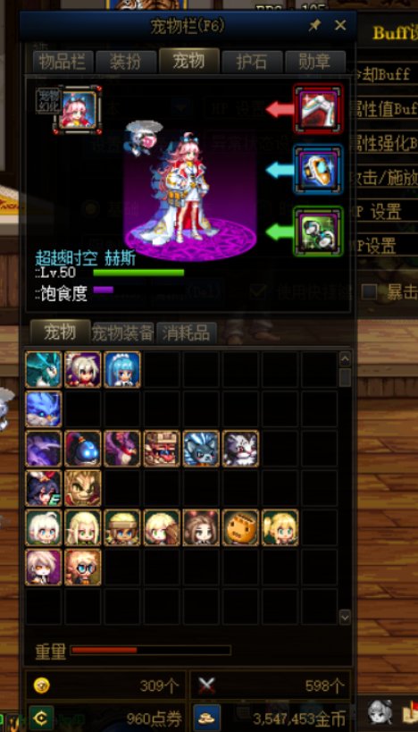 右槽宠物魔法师BUG修复，修复啥了，我不理解2
