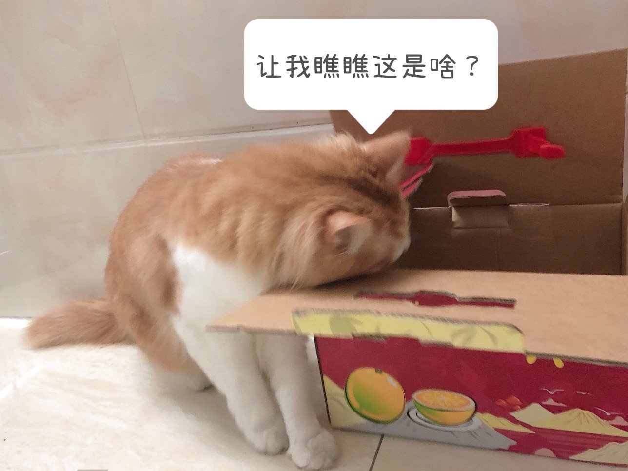 想带金，请教巴卡尼打法1