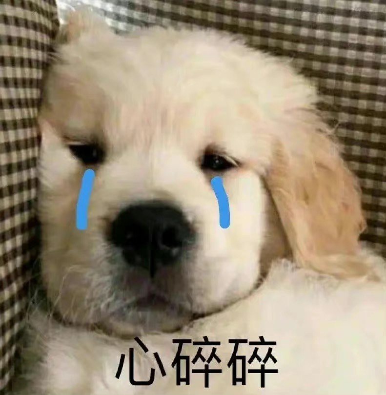 马哥 我真的会谢2