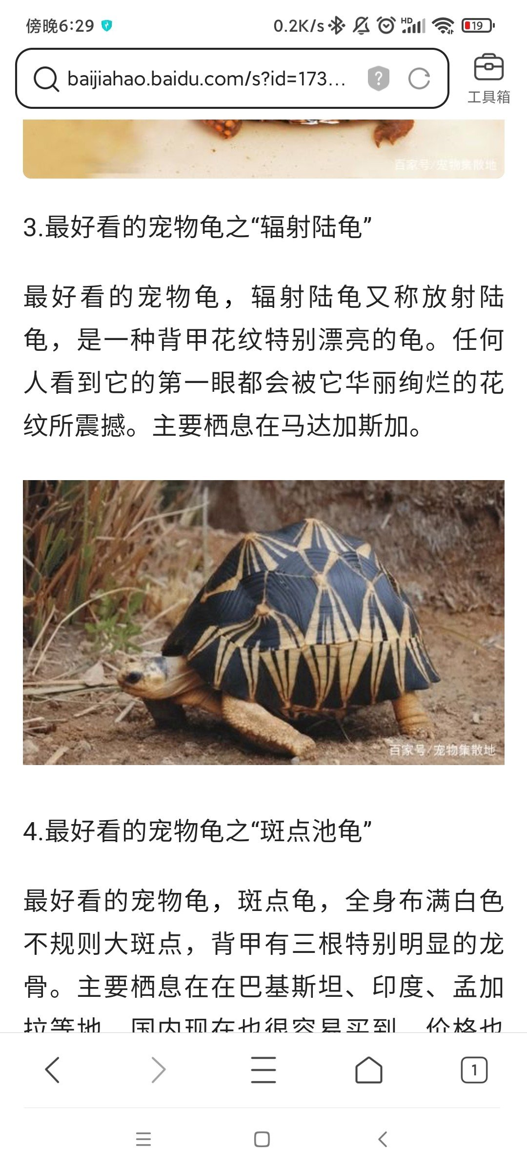什么时候爆料夏日套的爆料时间1