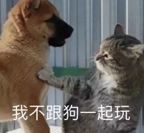 虽然很难相信但我白图出了个2100。2