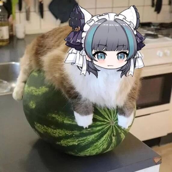 出了个自定义右槽，能用吗？3