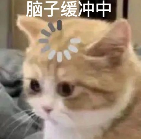 臭猫猫最近有些折寿啊6