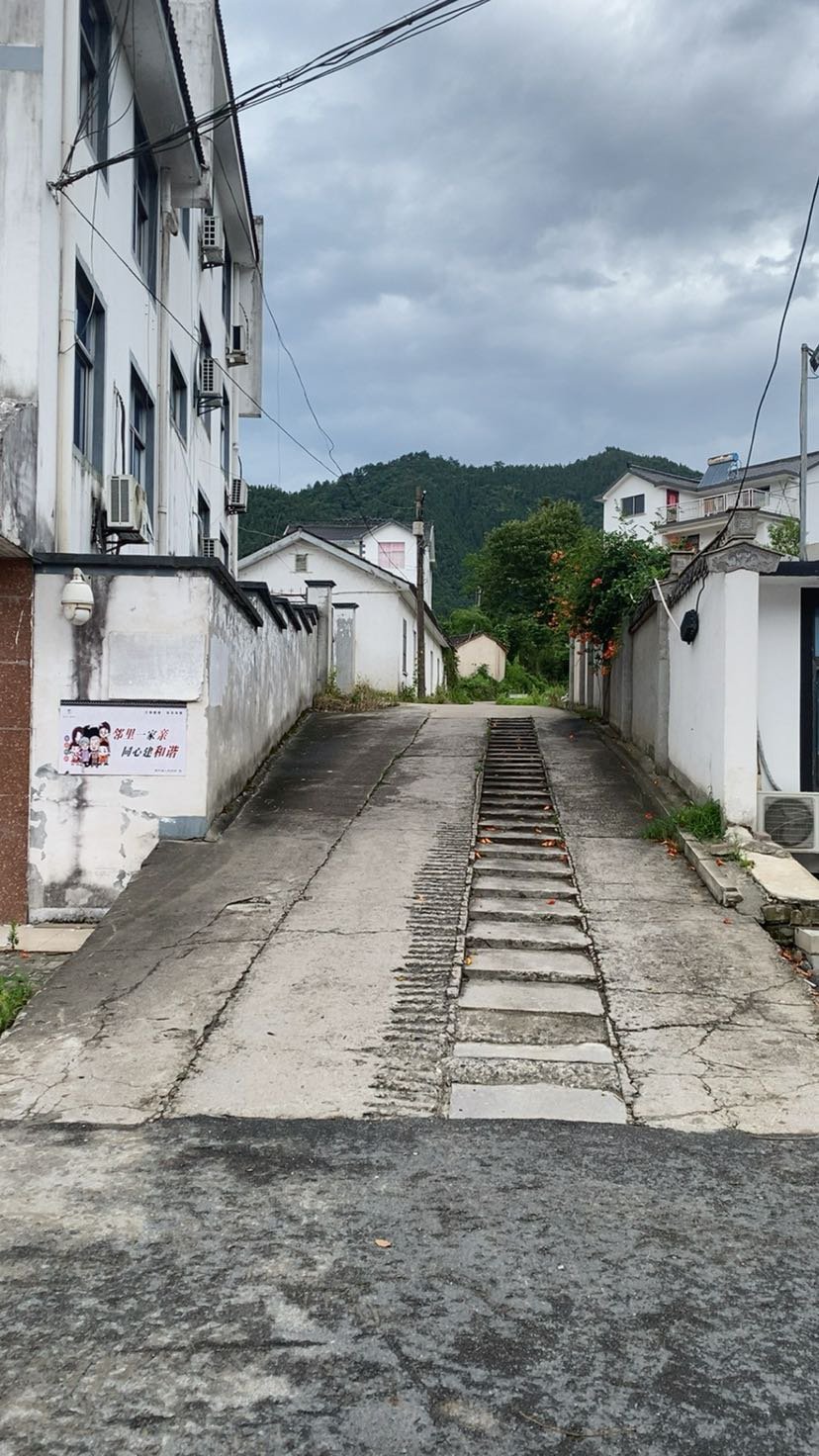 别人想办法走出大山 我想办法回到了大山4