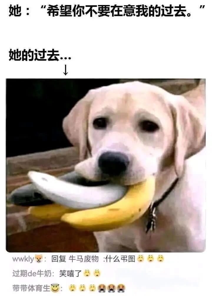 部分奶真的非常作啊2