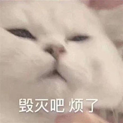 求救，匕首和双剑怎么选择1