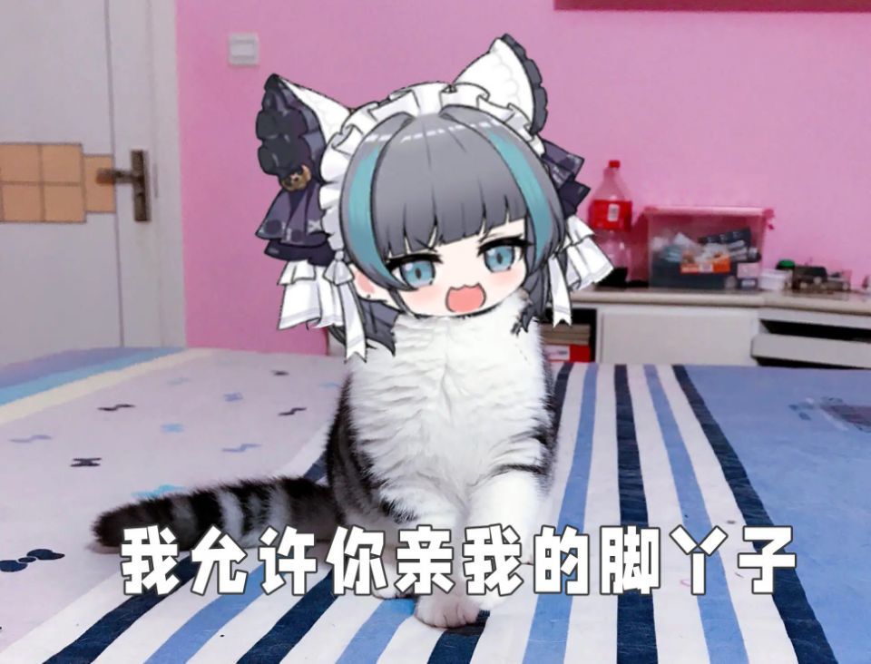 跨六魔界肥鯮来打架2