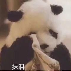 哇哦，我17年脱坑，回来还能再买17夏日，哇哦1