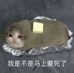救救 我还来得及拿到神话自选吗2