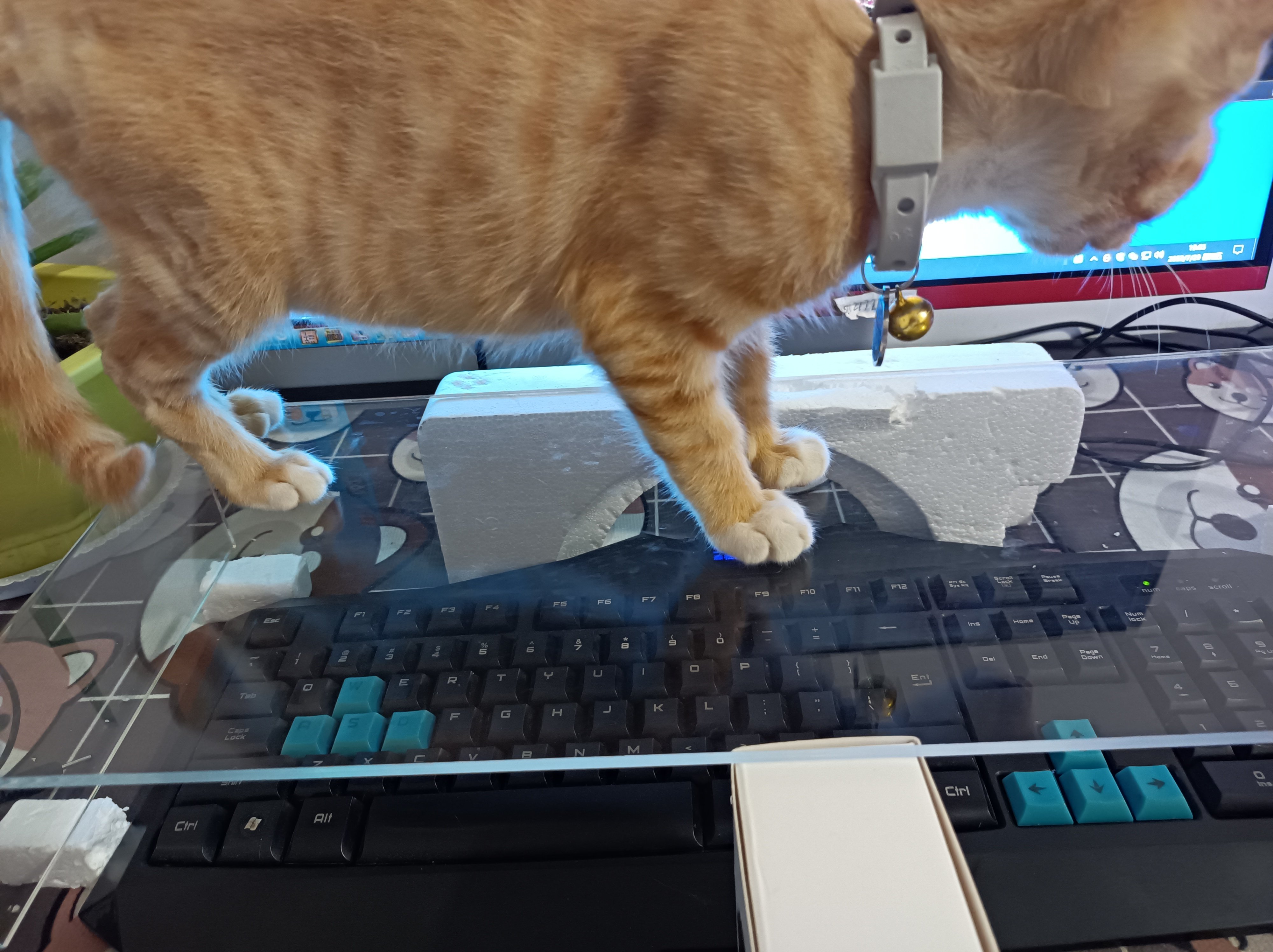 现在应该可以了这钱花的值1