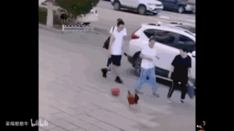 奶需要换战神腰带吗？1
