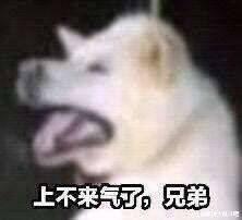 上头10亿强顶凯丽普通强化，应该是碎了10次左右12，麻了1