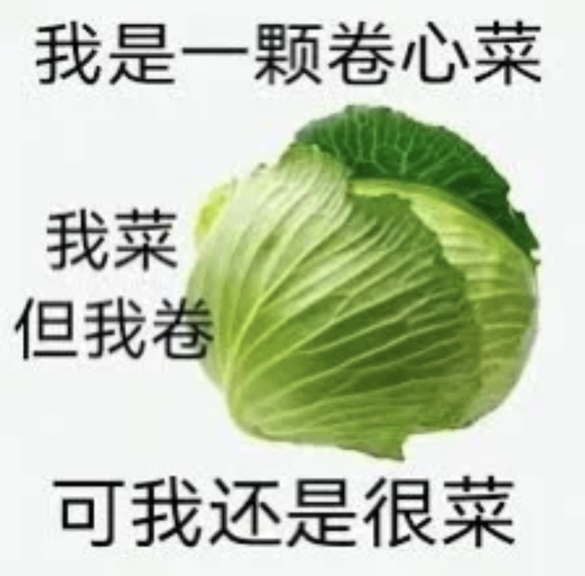 军团二阶段掉线什么鬼1