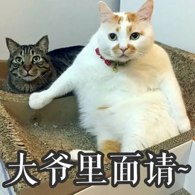 根据路边社消息，DK正在洽谈被米忽悠收购一事1